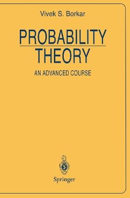 Probability Theory: An Advanced Course - Vivek S. Borkar - cover