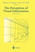 The Perception of Visual Information - William R. Hendee,Peter N.T. Wells - cover