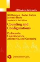 Counting and Configurations: Problems in Combinatorics, Arithmetic, and Geometry