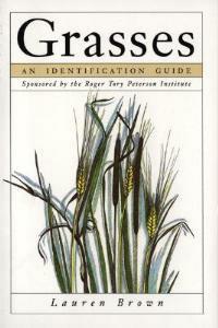 Grasses: An Identification Guide - Lauren Brown - cover