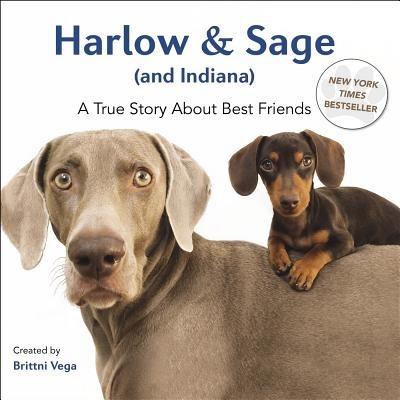 Harlow & Sage (and Indiana): A True Story about Best Friends - Brittni Vega - cover