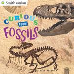 Curious About Fossils