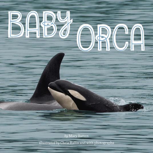 Baby Orca - Mary Batten,Chris Rallis - ebook