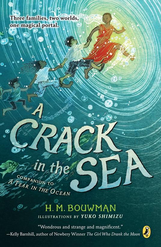A Crack in the Sea - H. M. Bouwman,Shimizu Yuko - ebook