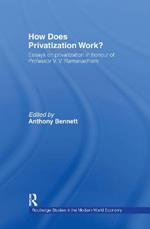 How Does Privatization Work?