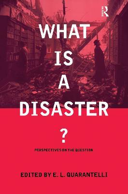What is a Disaster?: A Dozen Perspectives on the Question - cover