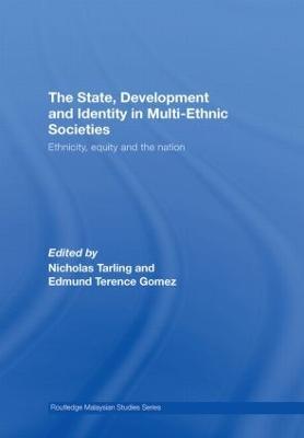 The State, Development and Identity in Multi-Ethnic Societies: Ethnicity, Equity and the Nation - cover