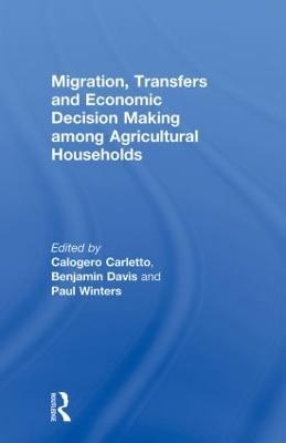 Migration, Transfers and Economic Decision Making among Agricultural Households - cover
