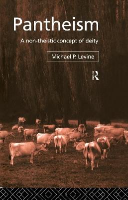 Pantheism: A Non-Theistic Concept of Deity - Michael P. Levine - cover