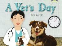 Bug Club Non-fiction Green B/1B A Vet's Day 6-pack - Claire Llewellyn - cover