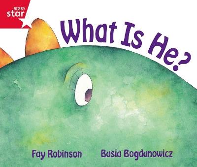 Rigby Star  Guided Reception Red Level:  What is He? Pupil Book (single) - cover