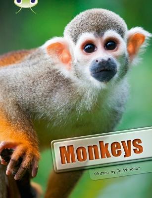 Bug Club Guided Non Fiction Year 3 White A Monkeys - Jo Windsor - cover