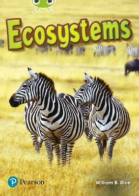 Bug Club Independent Non Fiction Year Two Lime Plus A Ecosystems - William Rice - cover