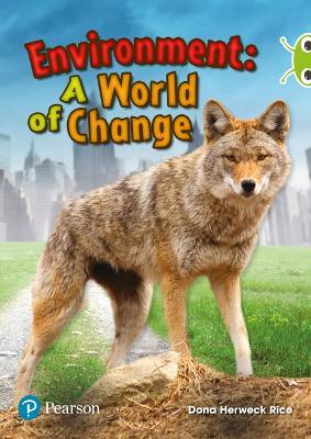 Bug Club Independent Non Fiction Year Two Lime Plus Environment A World of Change - Dona Rice - cover