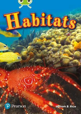 Bug Club Independent Non Fiction Year Two Lime Plus Non Fiction Habitats - William Rice - cover