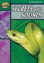 Rapid Reading: Secrets & Sounds (Stage 5, Level 5B)