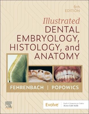 Illustrated Dental Embryology, Histology, and Anatomy - Margaret J. Fehrenbach,Tracy Popowics - cover