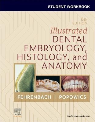 Student Workbook for Illustrated Dental Embryology, Histology and Anatomy - Margaret J. Fehrenbach - cover