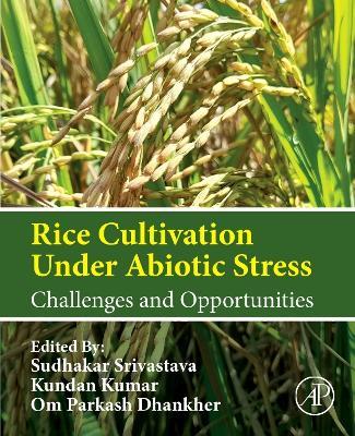 Rice Cultivation Under Abiotic Stress: Challenges and Opportunities - cover