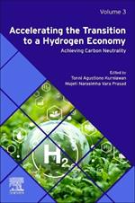 Accelerating the Transition to a Hydrogen Economy: Achieving Carbon Neutrality