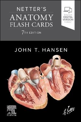 Netter's Anatomy Flash Cards - John T. Hansen - cover