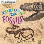 Curious About Fossils