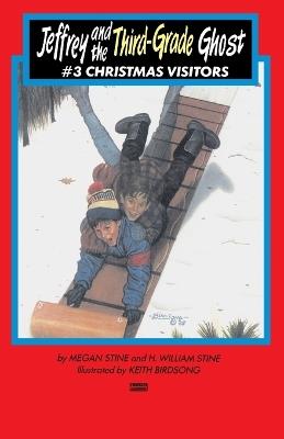 Christmas Visitors: (#3) - Megan Stine,H. William Stine - cover