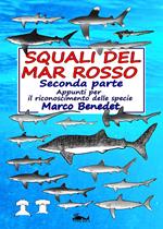 Squali del Mar Rosso: 2a parte Le specie