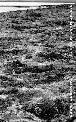 Desert Made in Chile: Photographs By Raimundo Lagos - Raimundo Lagos - cover