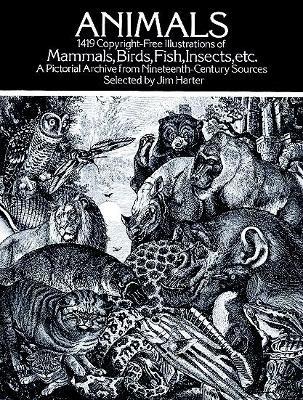 Animals: 1,419 Copyright-Free Illustrations of Mammals, Birds, Fish, Insects, Etc - Jim Harter - cover