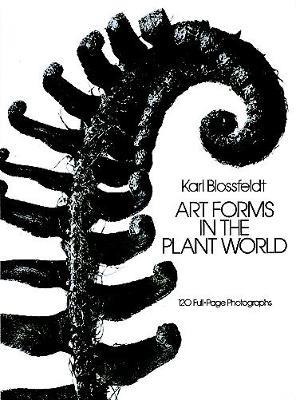 Art Forms in the Plant World - Karl Blossfeldt - cover