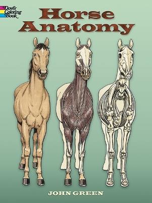 Horse Anatomy Coloring Book - John Green - cover