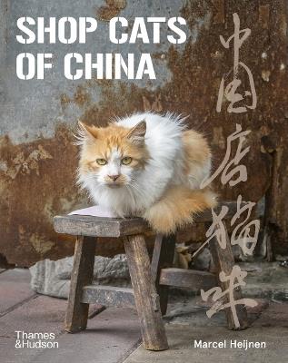 Shop Cats of China - Marcel Heijnen - cover