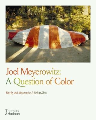 Joel Meyerowitz: A Question of Color - cover