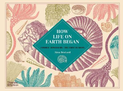How Life on Earth Began: Fossils · Dinosaurs · The First Humans - Aina Bestard - cover