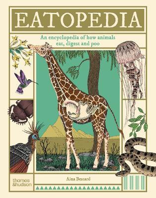 Eatopedia: An encyclopedia of how animals eat, digest and poo - Aina Bestard - cover