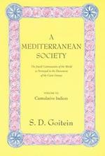 A Mediterranean Society, Volume VI: The Jewish Communities of the Arab World as Portrayed in the Documents of the Cairo Geniza, Cumulative Indices