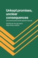 Unkept Promises, Unclear Consequences: US Economic Policy and the Japanese Response