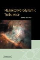 Magnetohydrodynamic Turbulence - Dieter Biskamp - cover