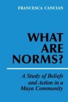 What Are Norms?: A Study of Beliefs and Action in a Maya Community