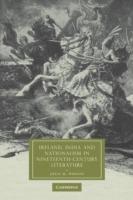 Ireland, India and Nationalism in Nineteenth-Century Literature - Julia M. Wright - cover