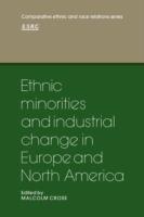 Ethnic Minorities and Industrial Change in Europe and North America - cover