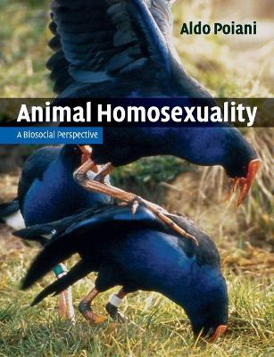 Animal Homosexuality: A Biosocial Perspective - Aldo Poiani - cover