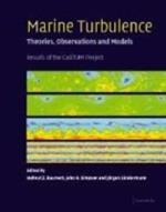 Marine Turbulence: Theories, Observations, and Models