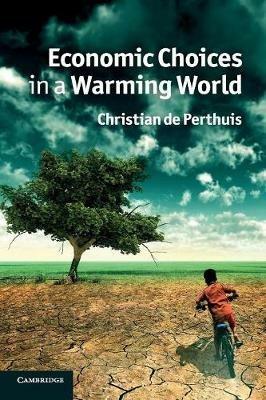Economic Choices in a Warming World - Christian de Perthuis - cover