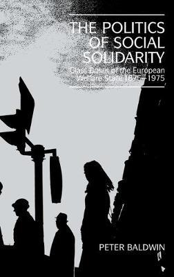 The Politics of Social Solidarity: Class Bases of the European Welfare State, 1875–1975 - Peter Baldwin - cover