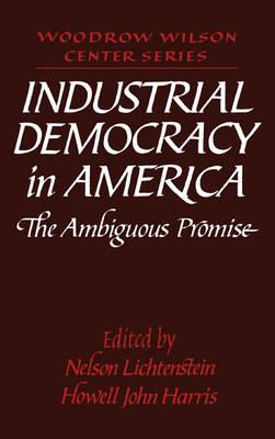 Industrial Democracy in America: The Ambiguous Promise - cover