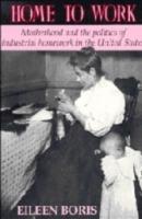 Home to Work: Motherhood and the Politics of Industrial Homework in the United States - Eileen Boris - cover