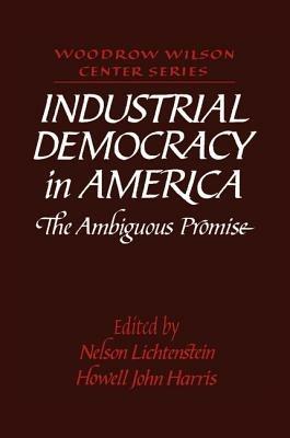 Industrial Democracy in America: The Ambiguous Promise - cover