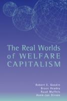 The Real Worlds of Welfare Capitalism - Robert E. Goodin,Bruce Headey,Ruud Muffels - cover